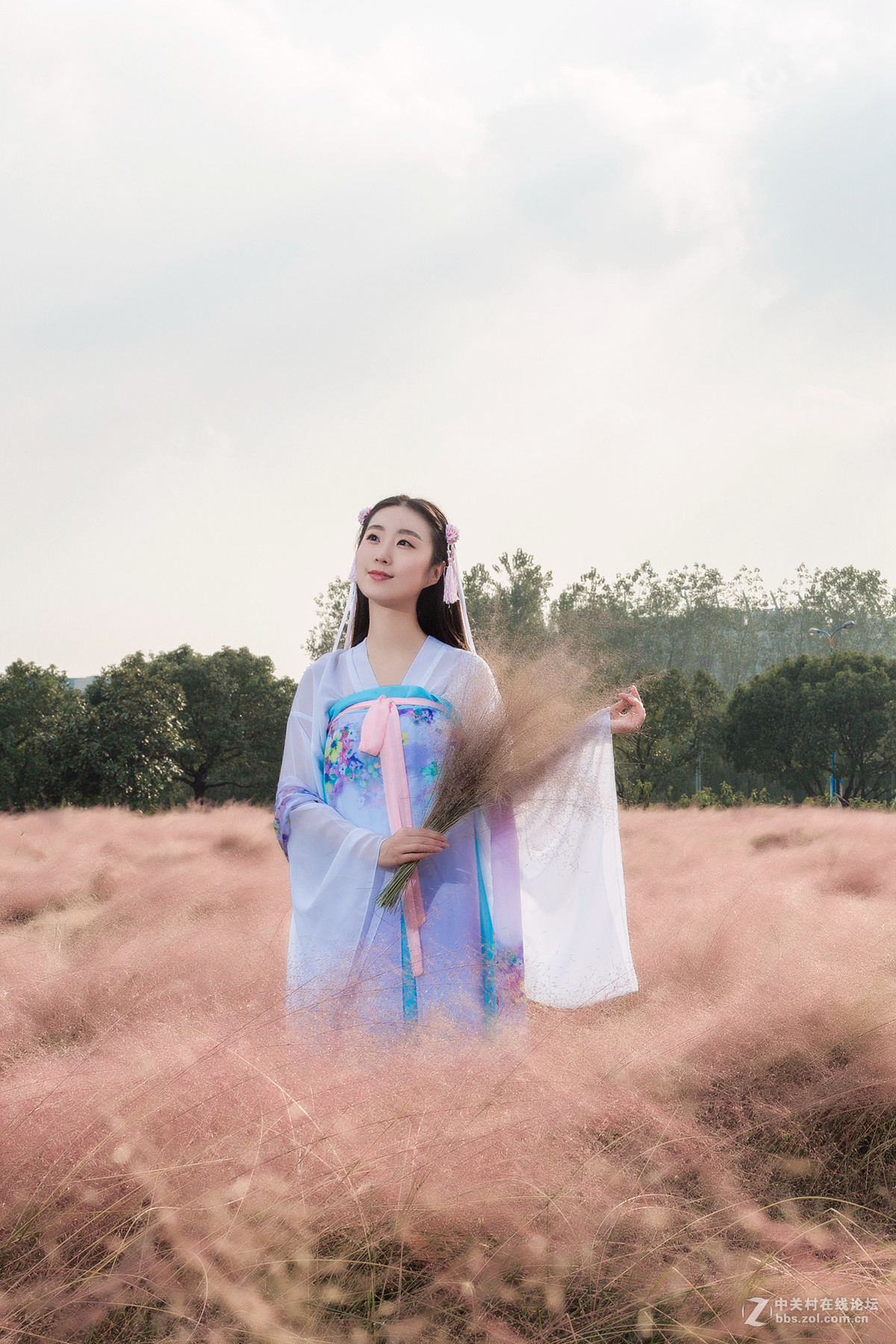 花海 请指教