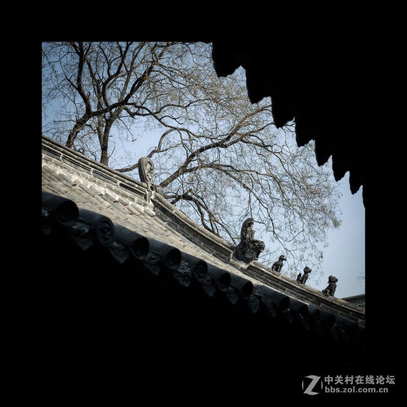 品味三孔（孔府、孔庙）