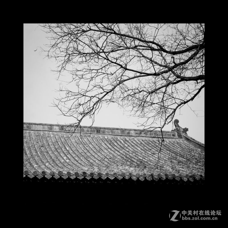 品味三孔（孔府、孔庙）