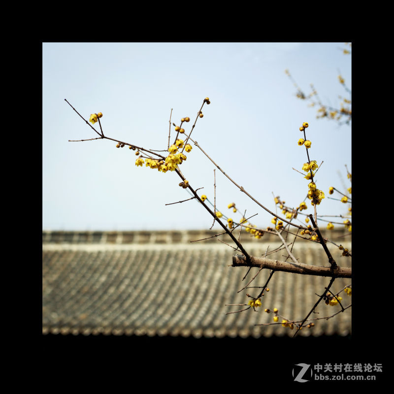 品味三孔（孔府、孔庙）