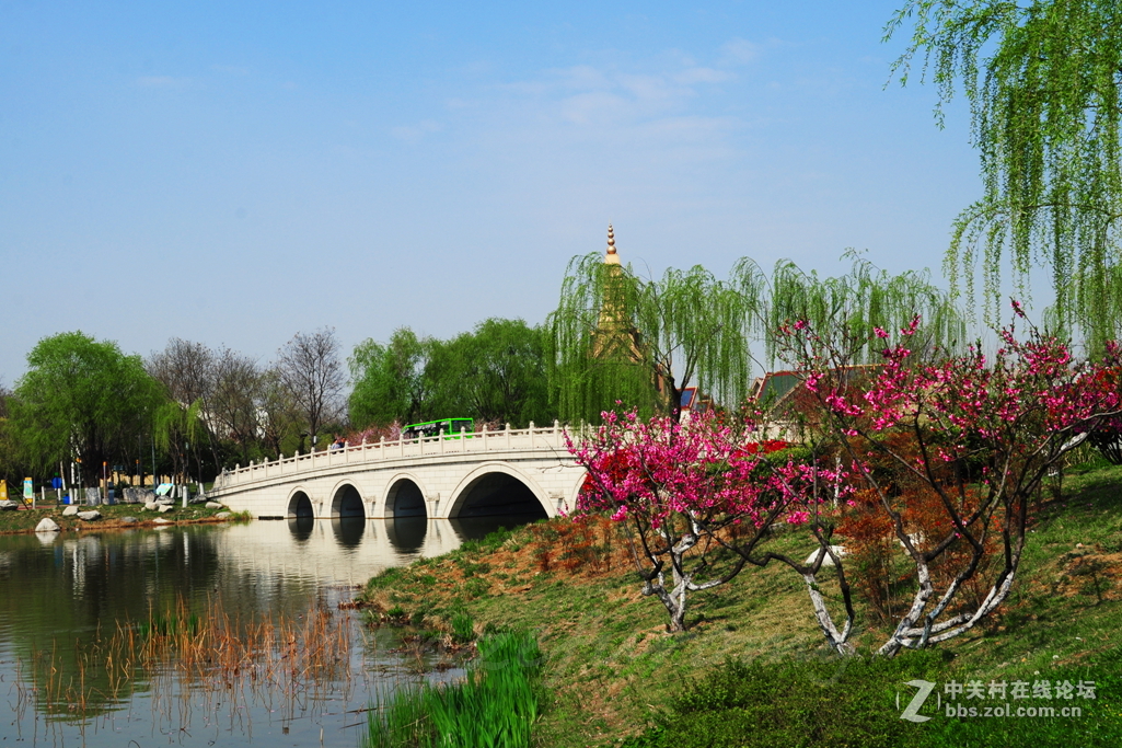 #ZOL月赛-春暖花开#——春到西安世博园