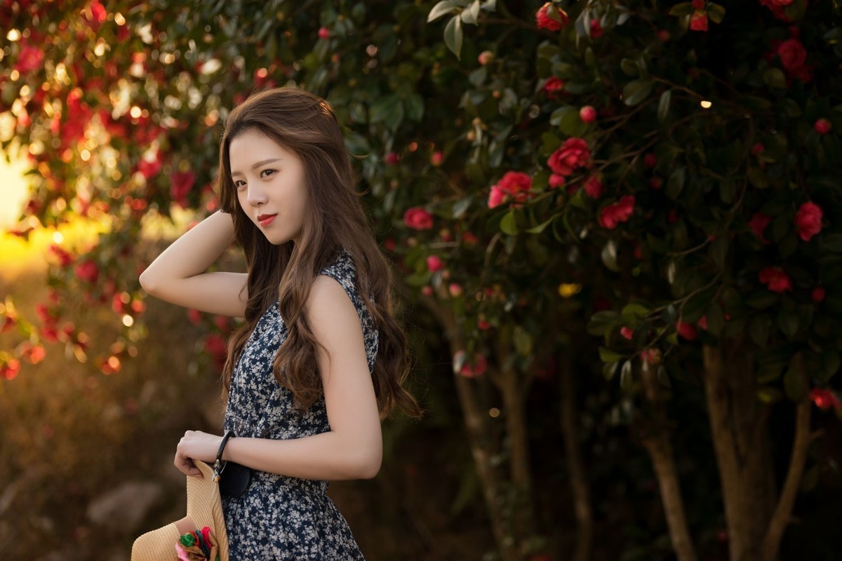 羞答答的山茶花