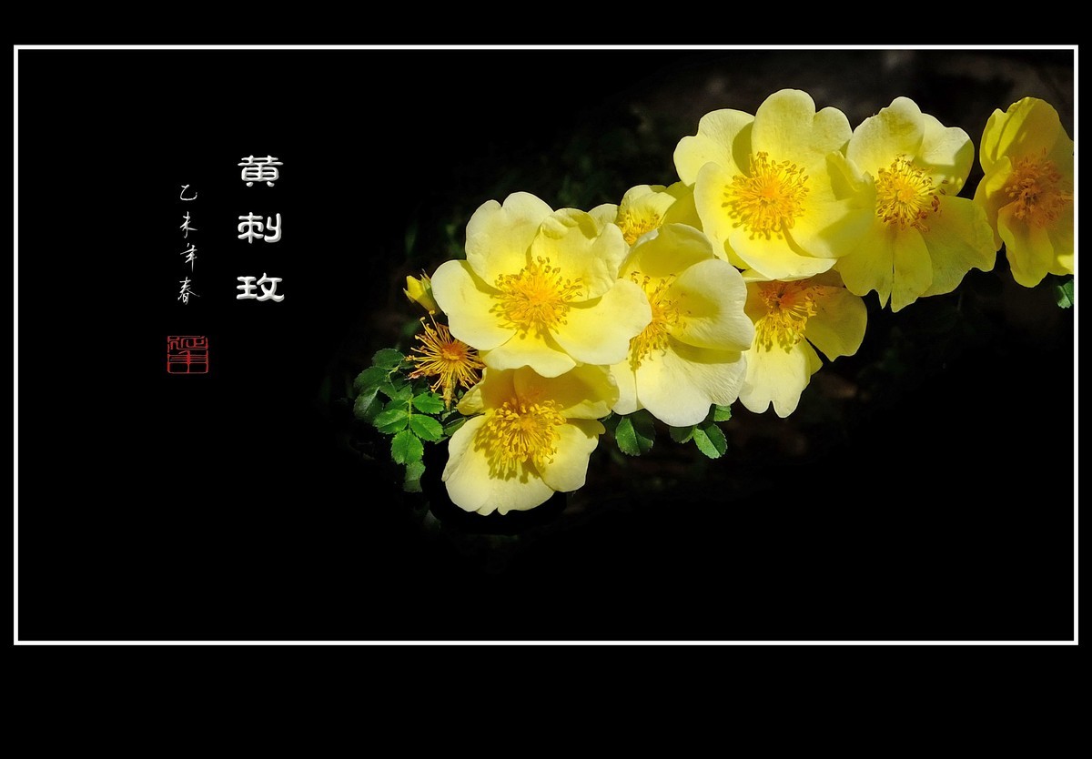 #版主坐堂# 【南京星空(中国)】2016年3月部分优秀作品欣赏