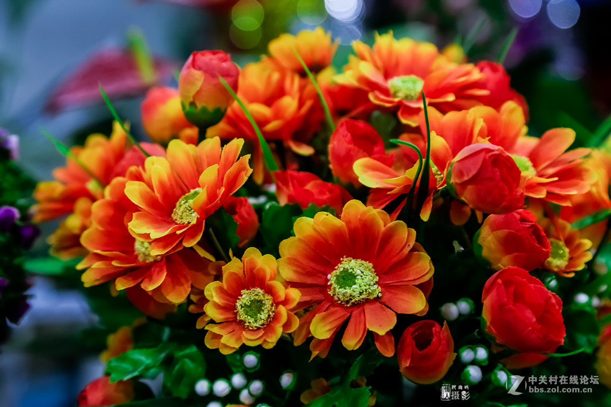 新年第一帖--花之语