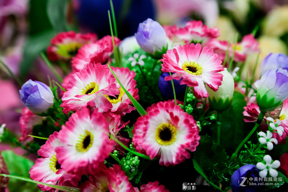 新年第一帖--花之语