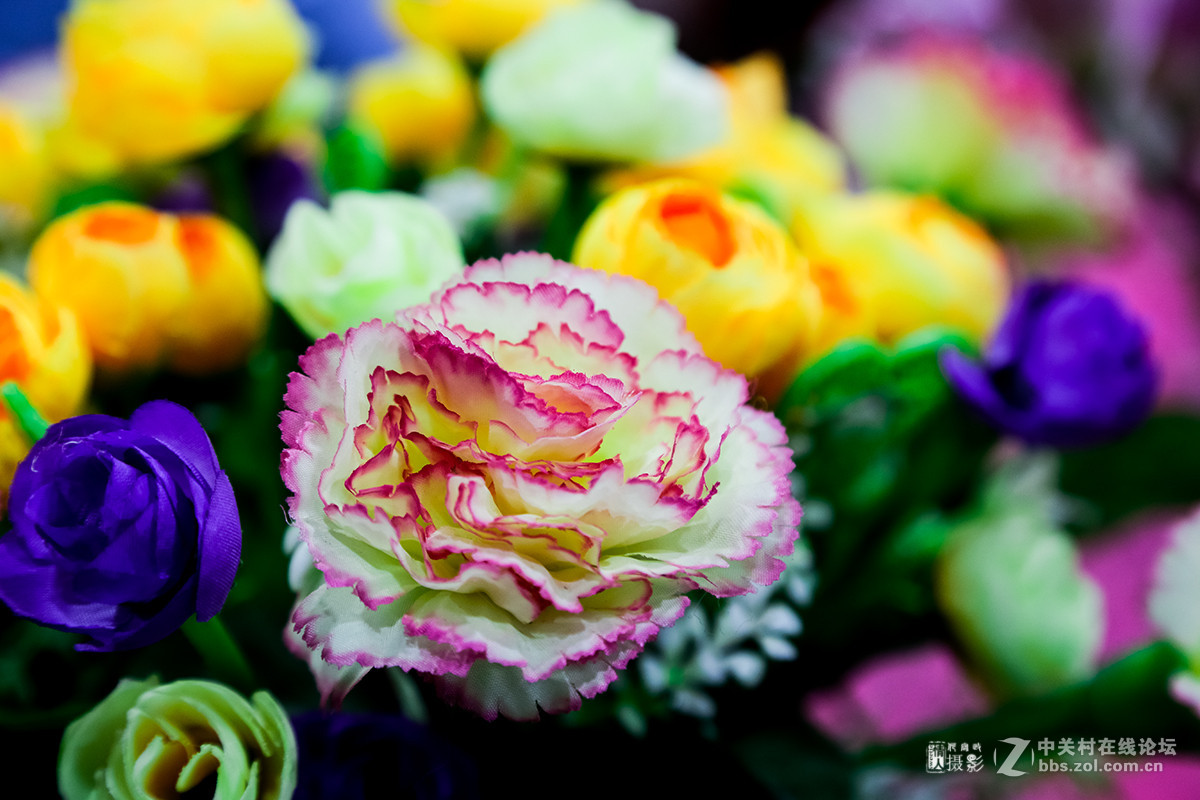 新年第一帖--花之语