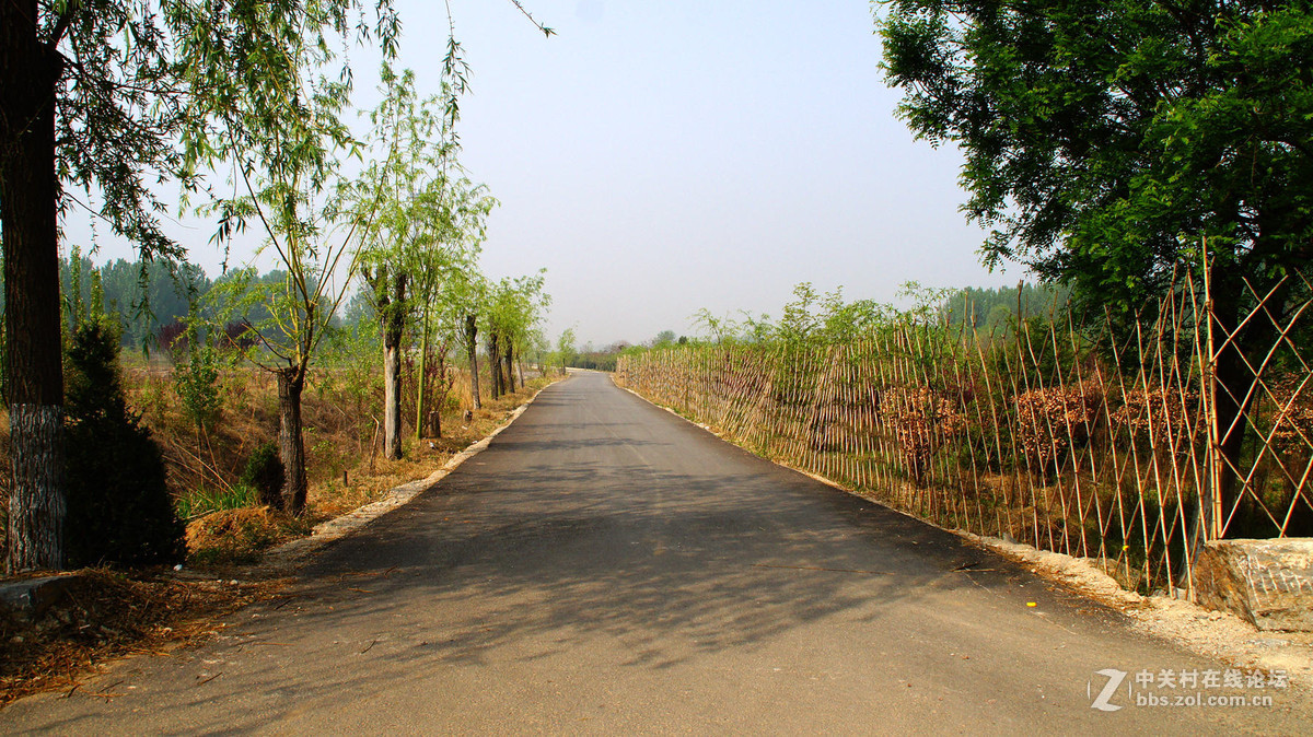 杜培峰之月亮湾初夏