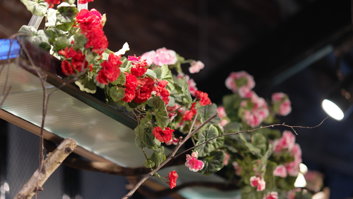 看看我的NX500+85/12-24mm （6月之泉城印象 原片未修！）