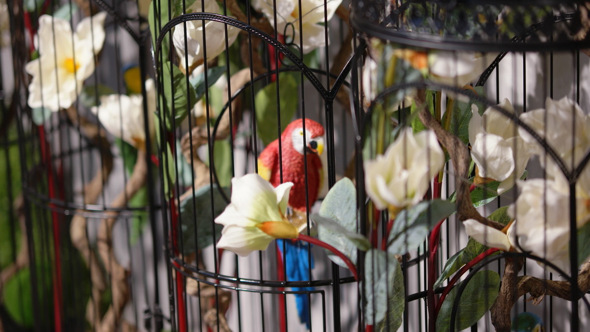 看看我的NX500+85/12-24mm （6月之泉城印象 原片未修！）