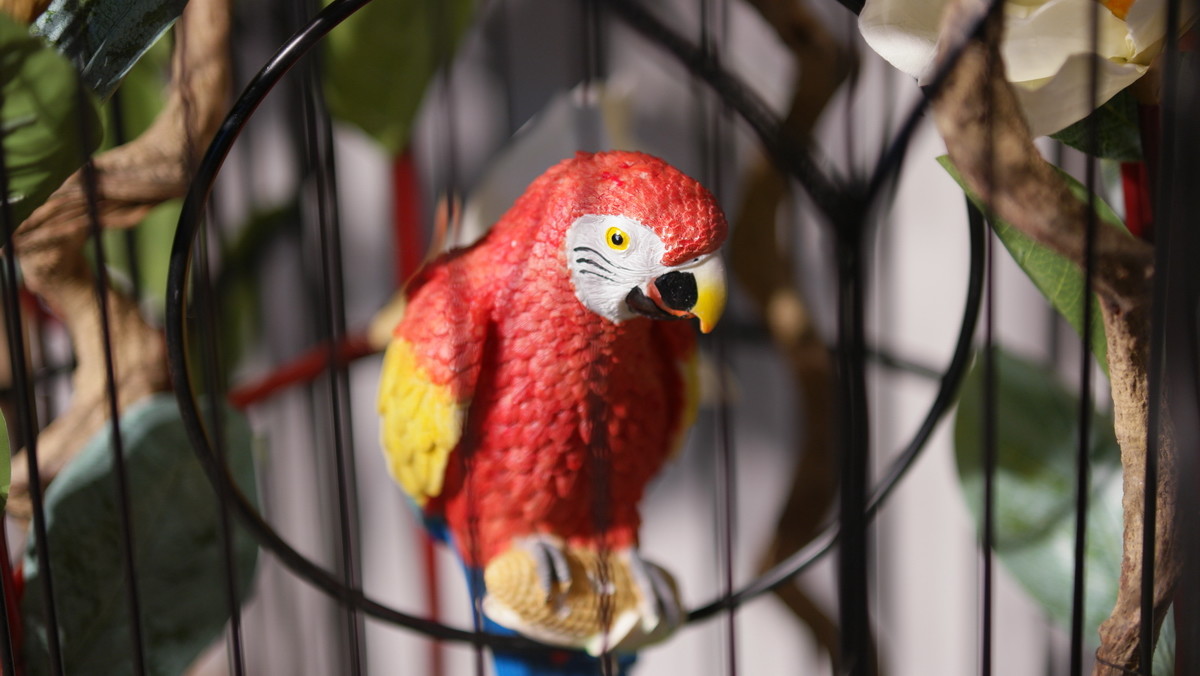 看看我的NX500+85/12-24mm （6月之泉城印象 原片未修！）