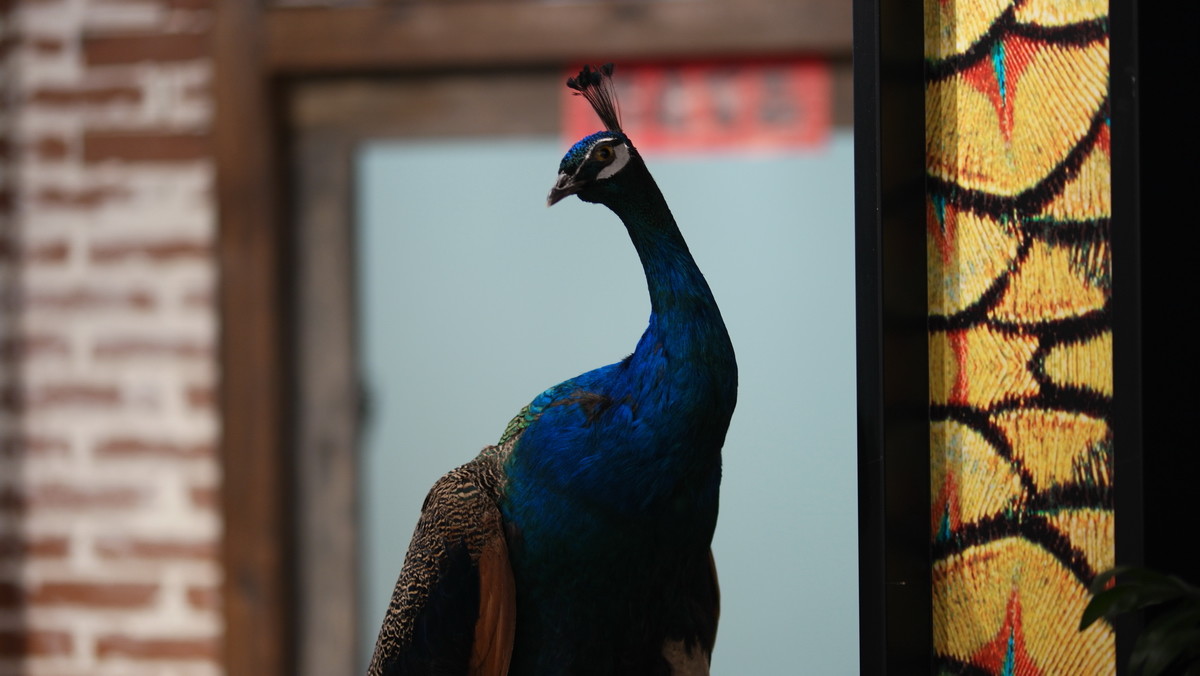 看看我的NX500+85/12-24mm （6月之泉城印象 原片未修！）