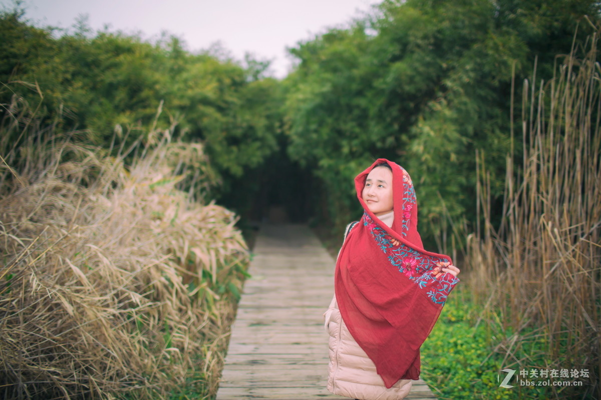 青青子衿  悠悠我心