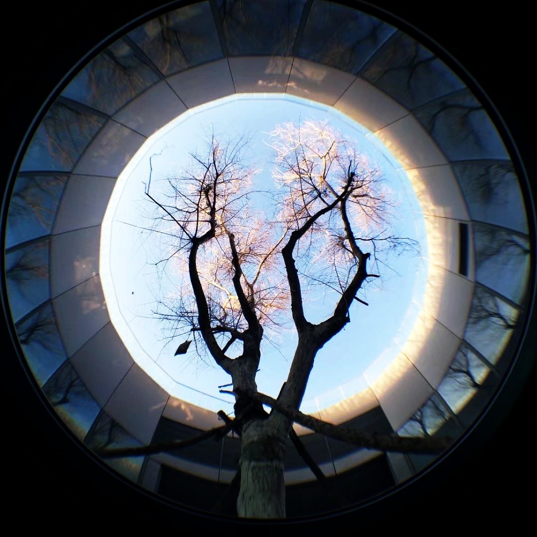 幻影 映像 光影
