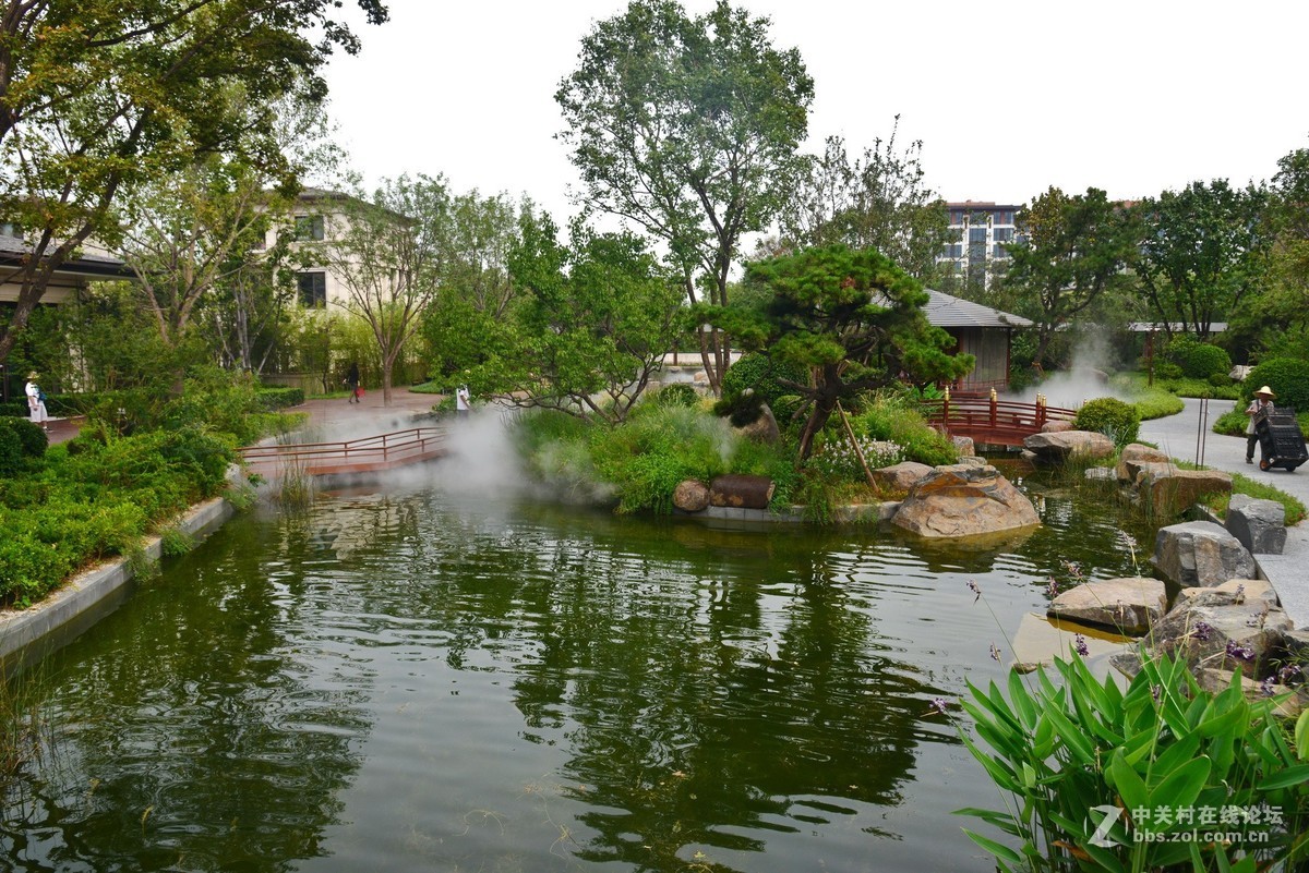 顺义鹿鸣公园 1