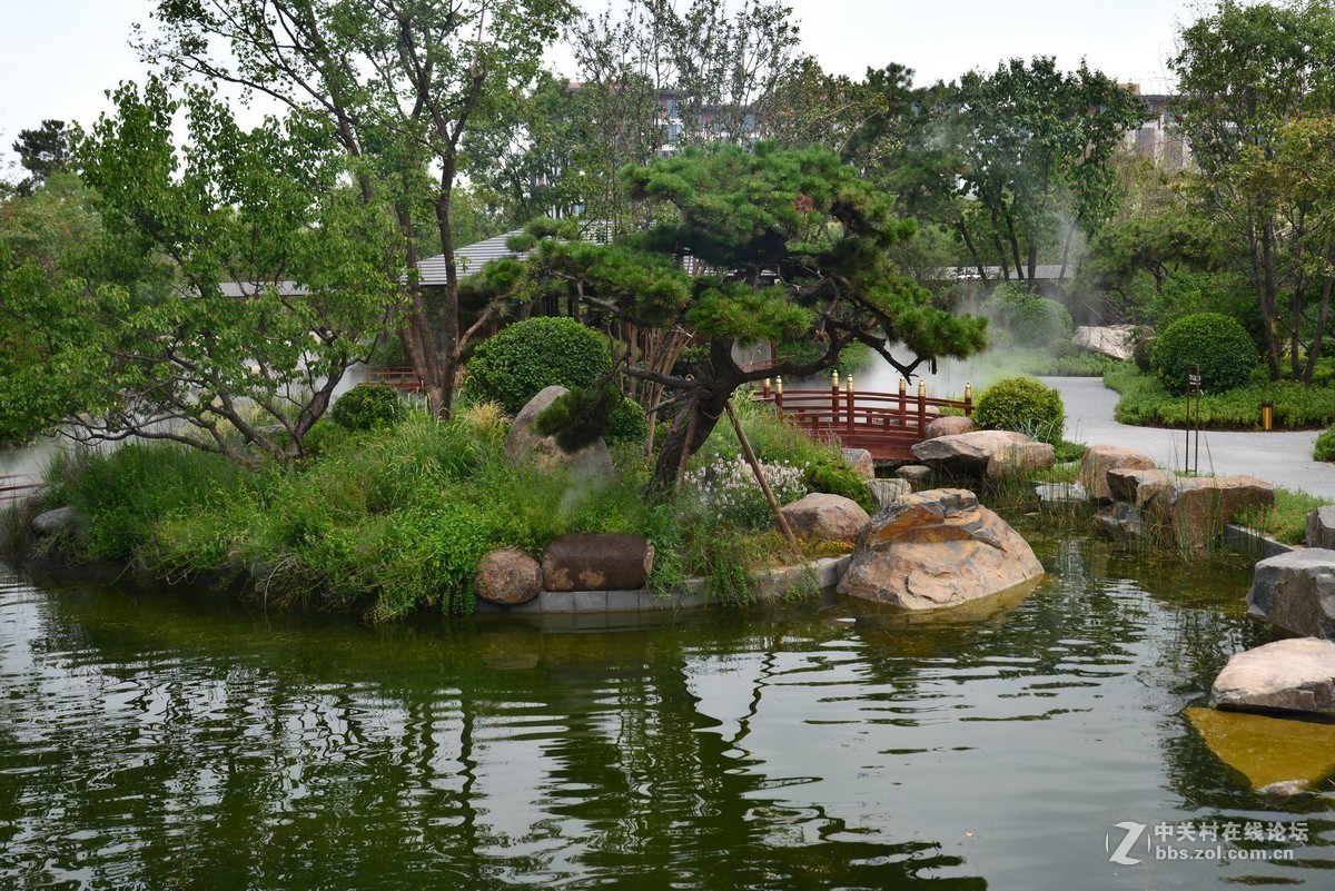 顺义鹿鸣公园 1