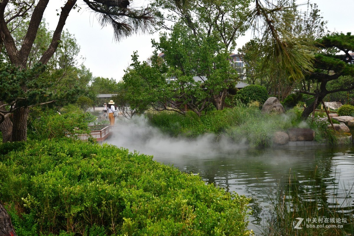 顺义鹿鸣公园 1