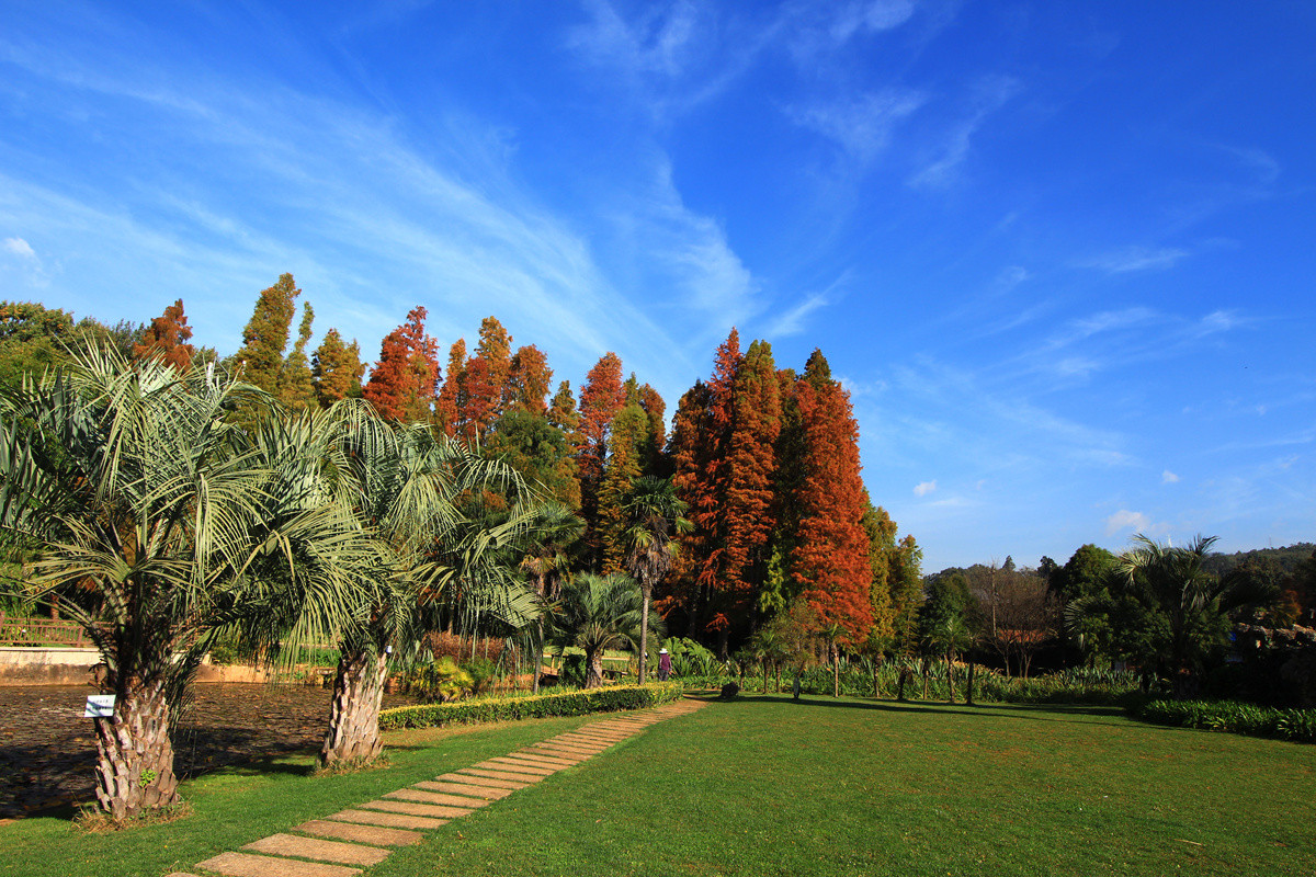 春城秋色昆明植物园随拍二