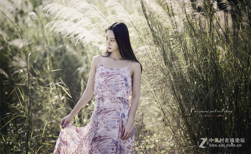 卡尔·蔡司Planar T* 135mm f/2 ZE {芦苇...人像}