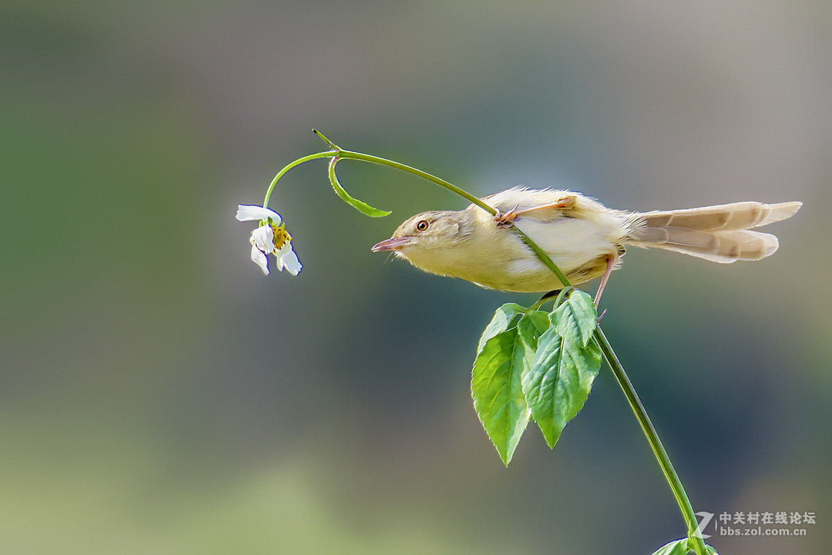 #版主坐堂# 【南京星空(中国)】2016年3月部分优秀作品欣赏