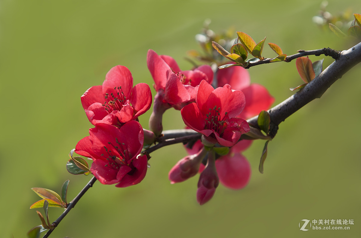 #版主坐堂# 【南京星空(中国)】2016年3月部分优秀作品欣赏