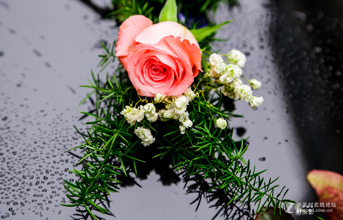 新年第一帖--花之语