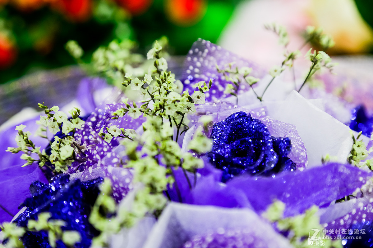 新年第一帖--花之语