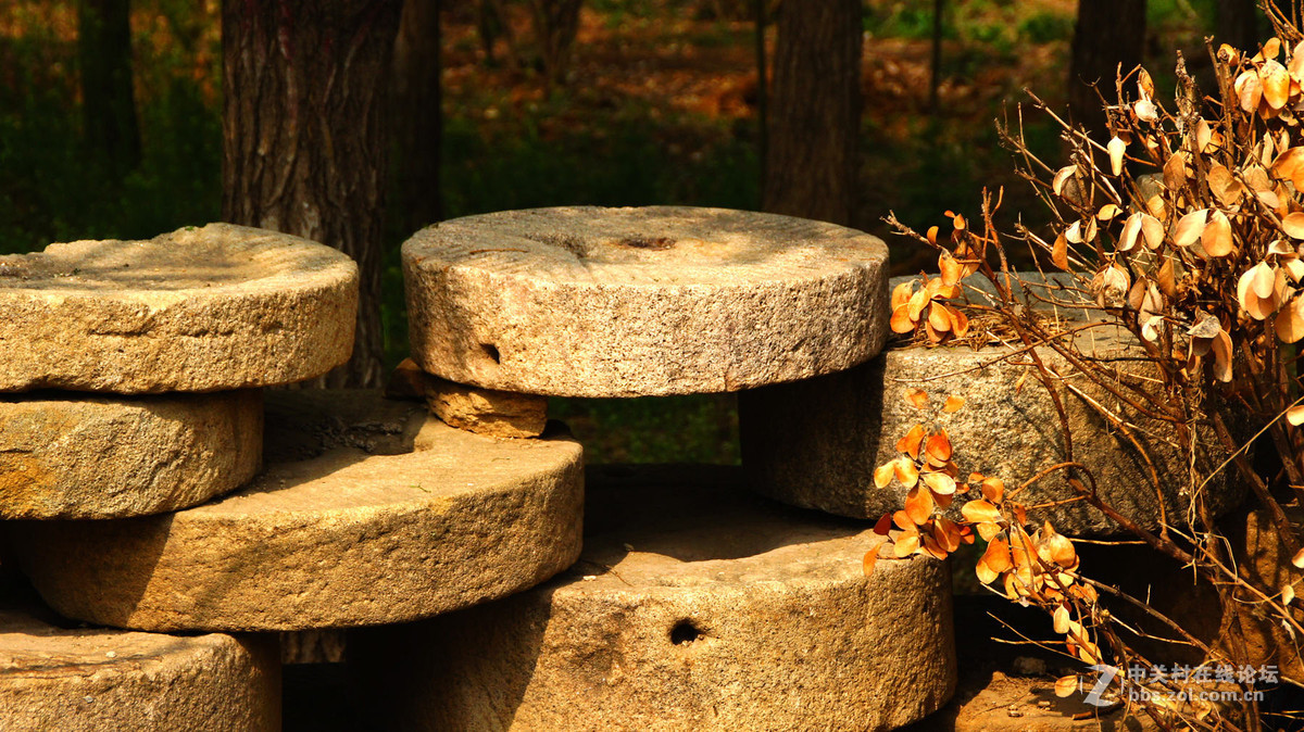 杜培峰之月亮湾初夏