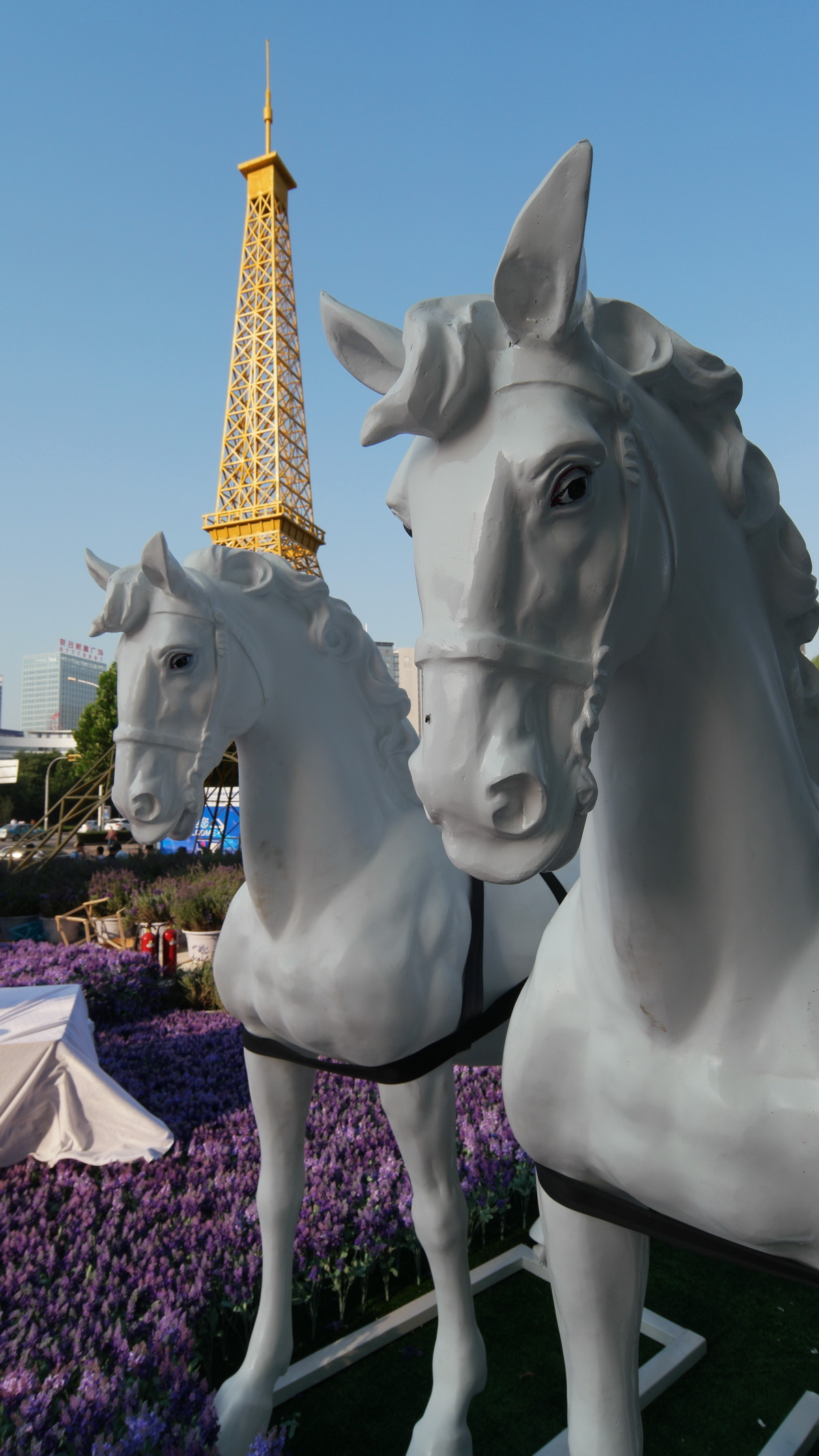 看看我的NX500+85/12-24mm （6月之泉城印象 原片未修！）