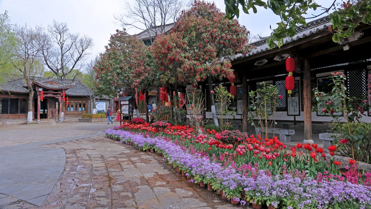 大美云南------ 丽 江： 束 河 古 镇