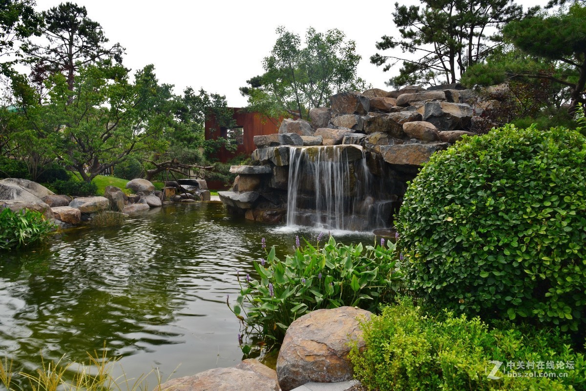 顺义鹿鸣公园 1