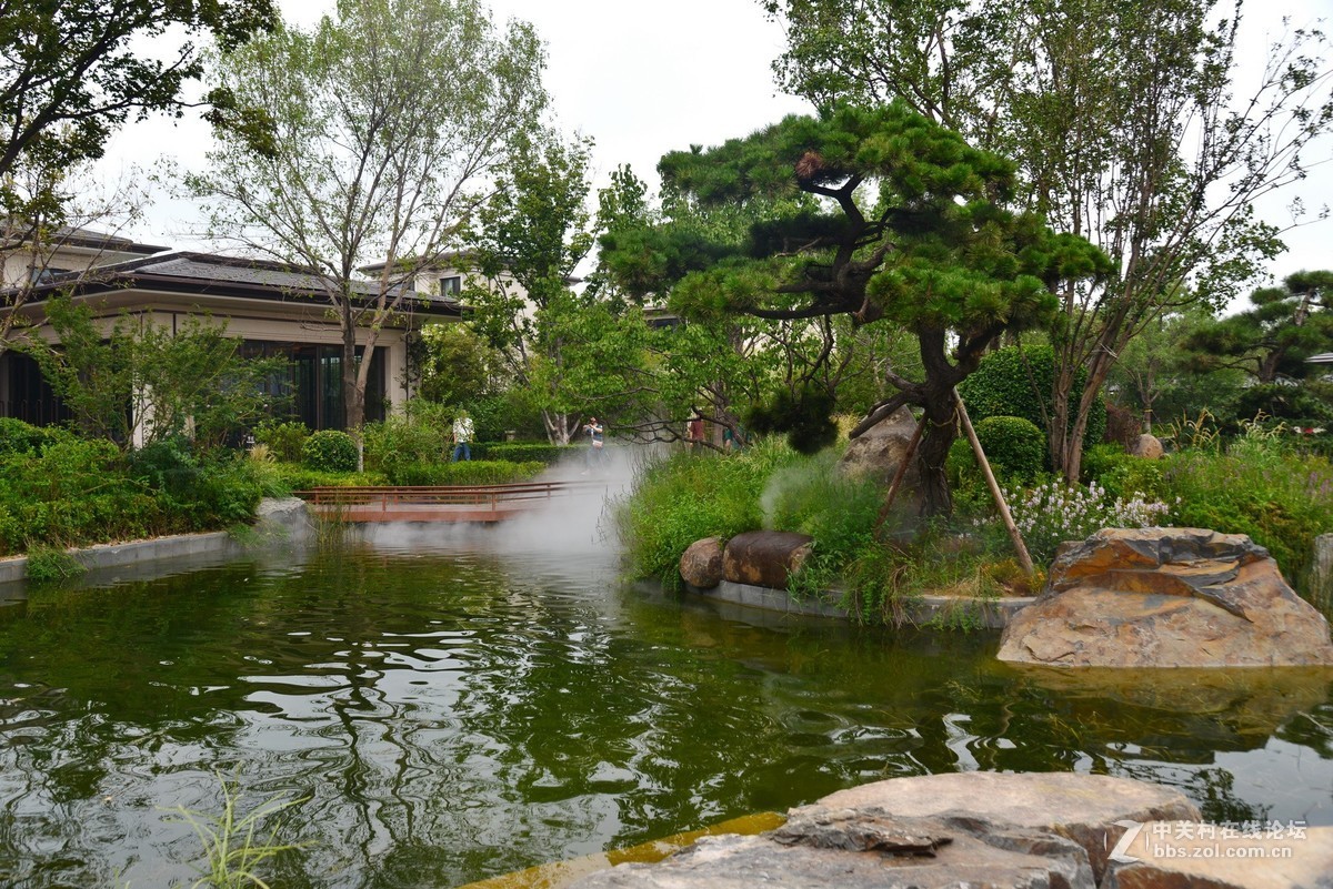 顺义鹿鸣公园 1