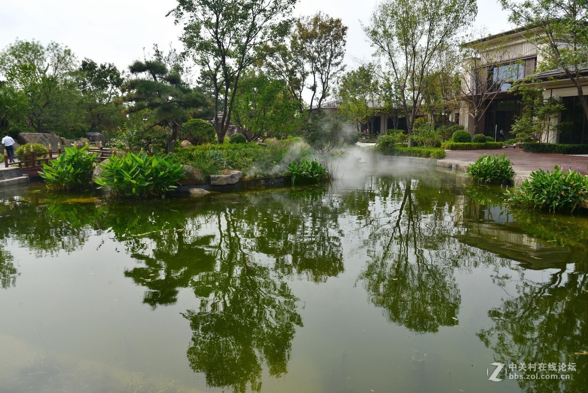 顺义鹿鸣公园 1