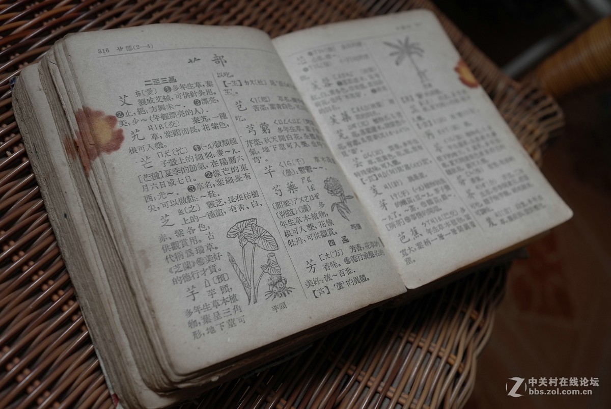 祖父的字典
