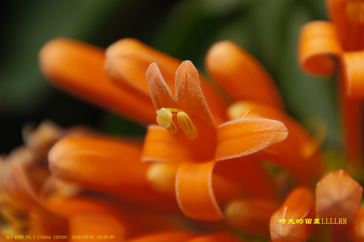 #版主坐堂# 【南京星空(中国)】2016年3月部分优秀作品欣赏