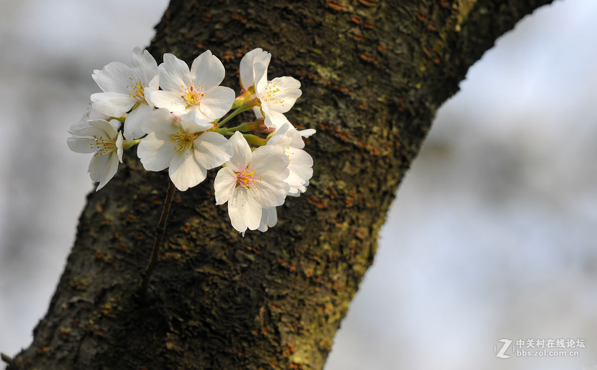 #版主坐堂# 【南京星空(中国)】2016年3月部分优秀作品欣赏