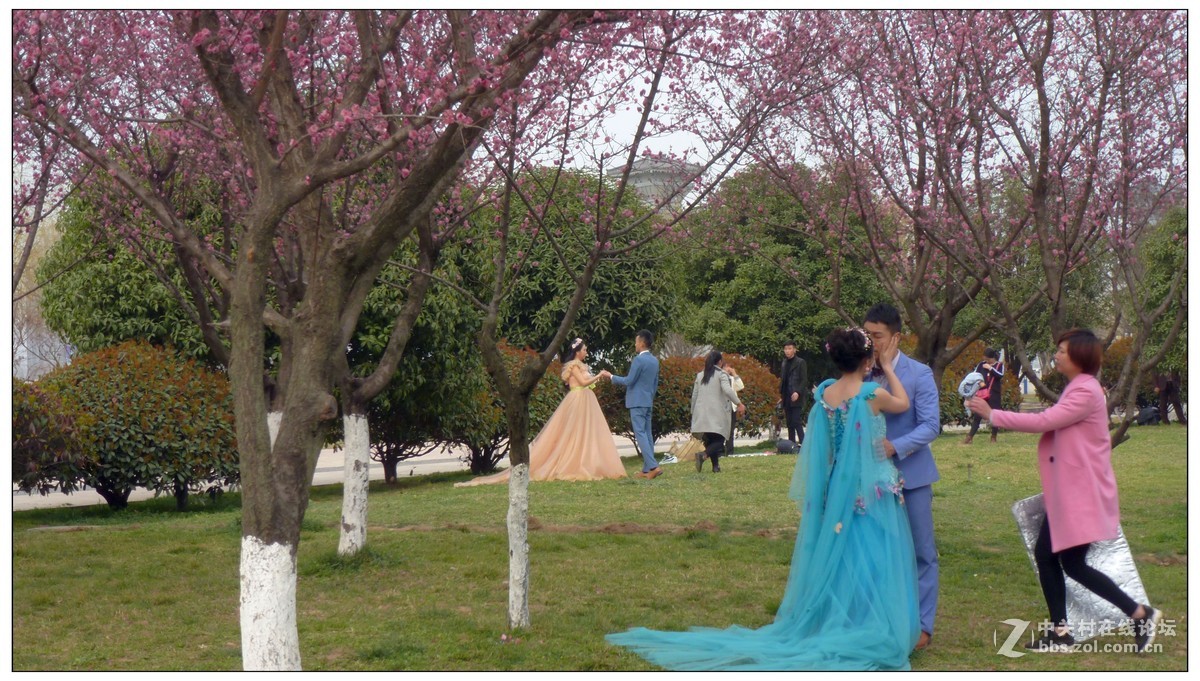 小8的遐想（抓拍生活照）