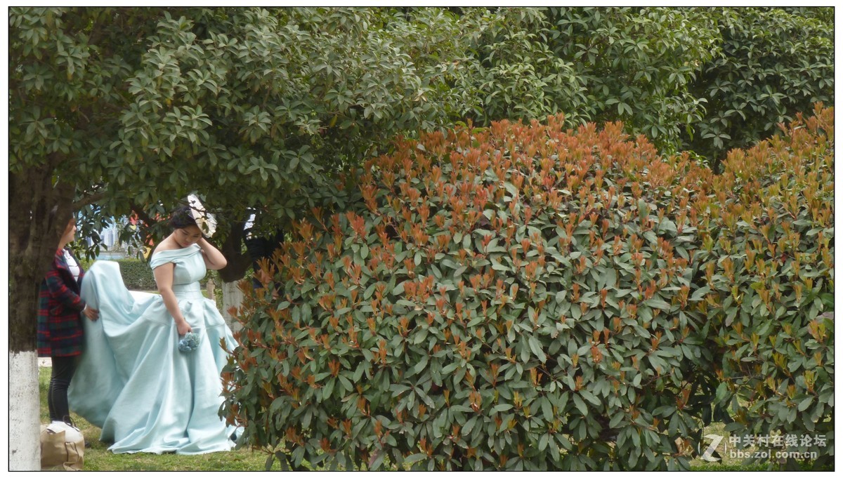 小8的遐想（抓拍生活照）