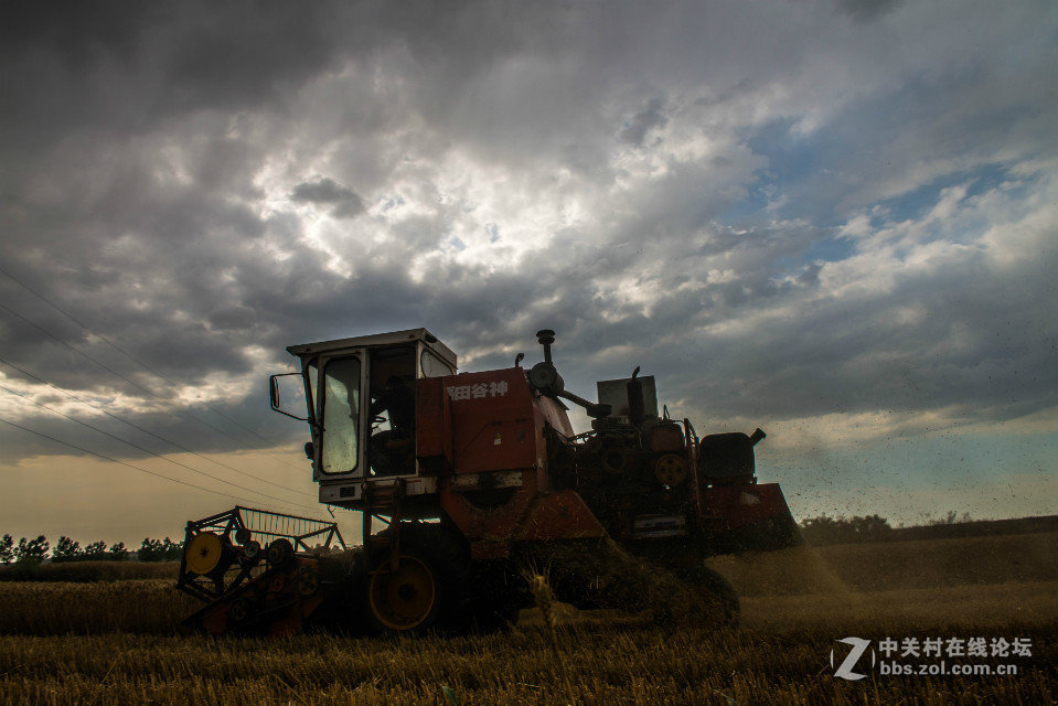 麦收时刻    2