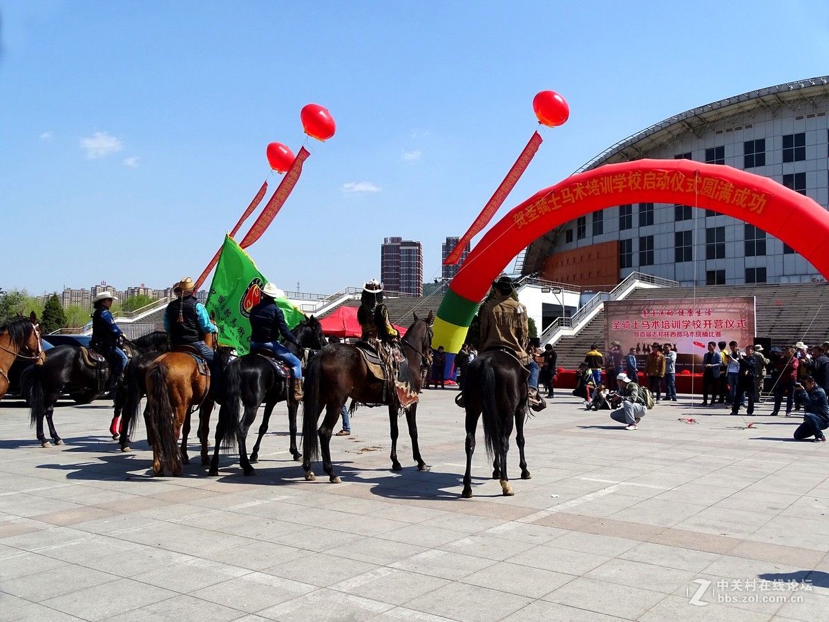 【马术开营仪式】和【名犬中国冠军展】