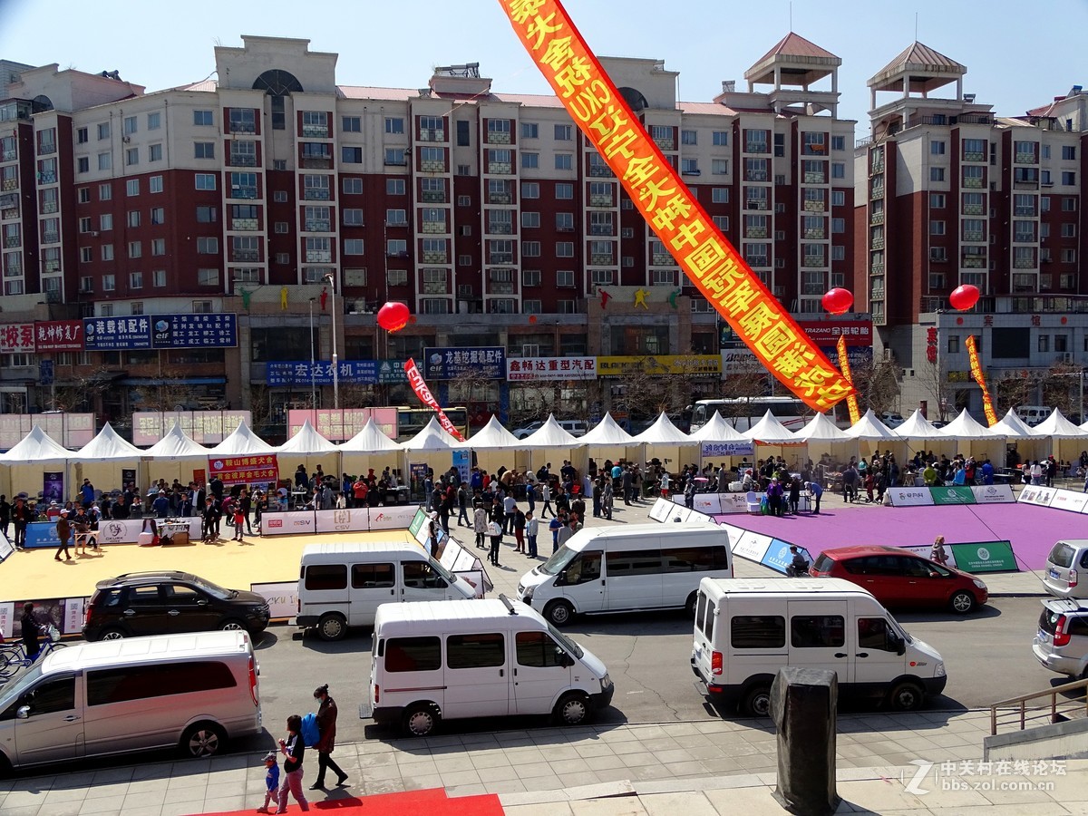 【马术开营仪式】和【名犬中国冠军展】