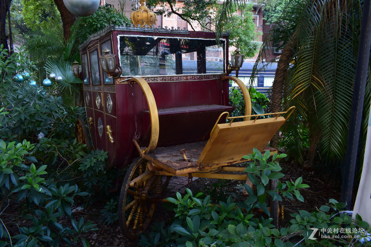 沙面黄昏+越秀花灯