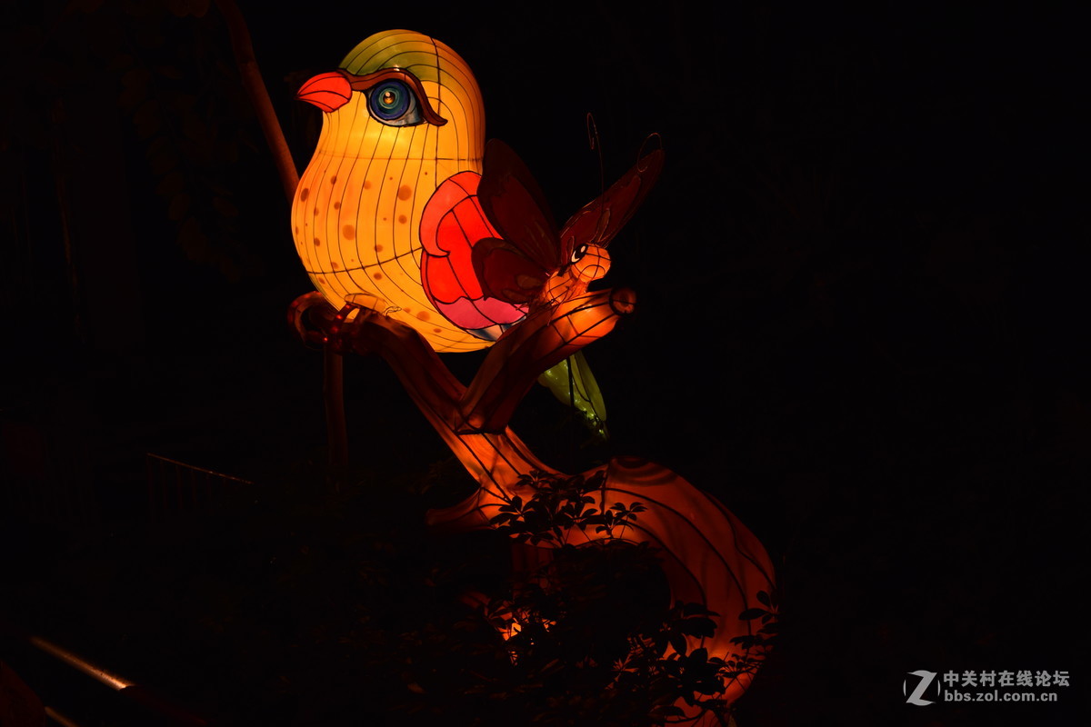 沙面黄昏+越秀花灯