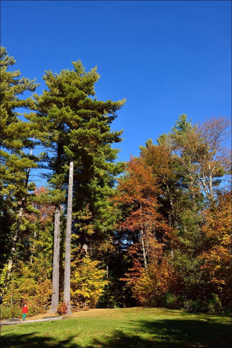 休闲随拍（380）