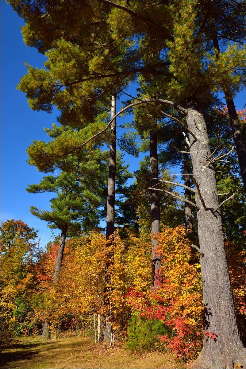 休闲随拍（380）