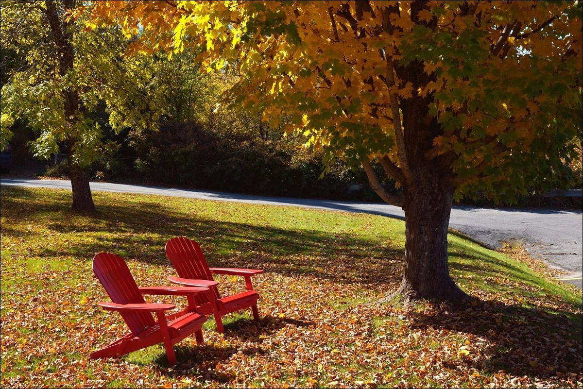 休闲随拍（380）