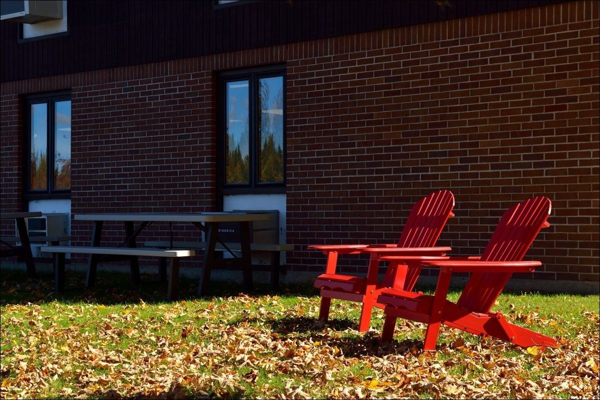 休闲随拍（380）