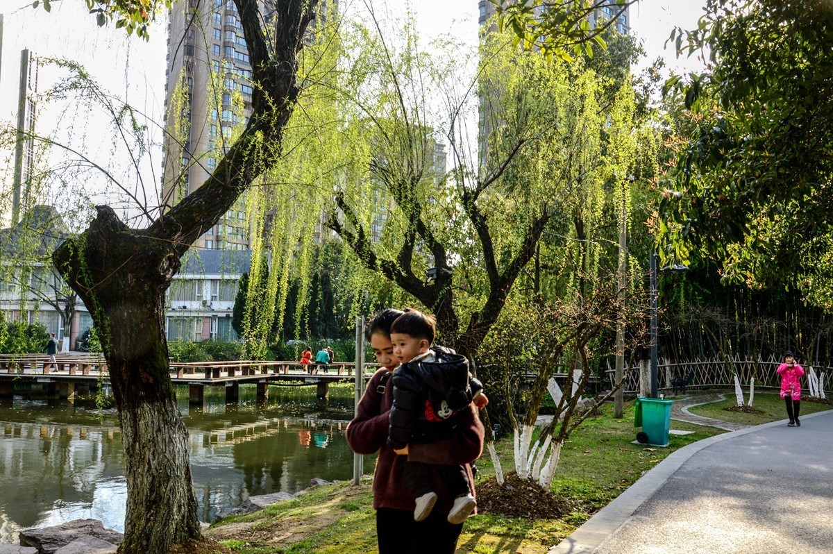 春风杨柳万千条