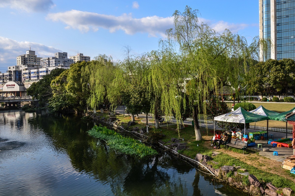 春风杨柳万千条