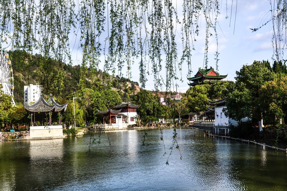 春风杨柳万千条