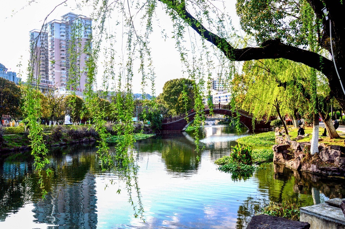 春风杨柳万千条